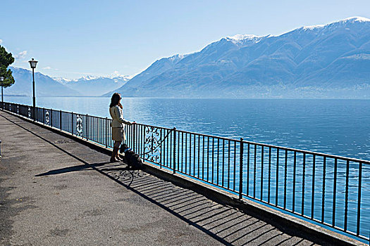 女人,狗,站立,栏杆,边缘,马焦雷湖,提契诺河,瑞士