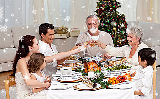 家庭,祝酒,圣诞晚餐