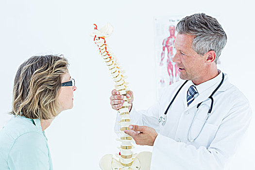 医生,交谈,病人,展示,脊椎,模型