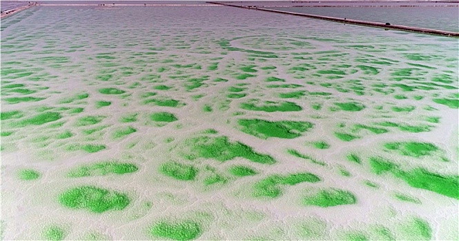 青海芒崖,翡翠湖,如梦似幻神仙地,颜色纯美剔透戈壁玉