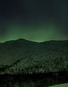 北极光,上方,积雪,山,夜晚,挪威