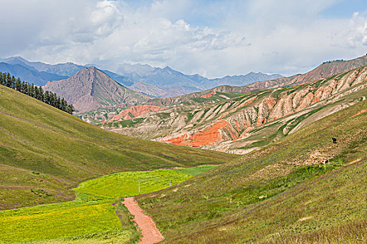 青海祁连县卓尔山美景