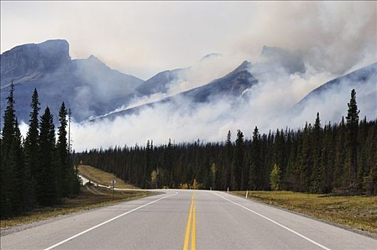 森林火灾,班芙国家公园,艾伯塔省,加拿大