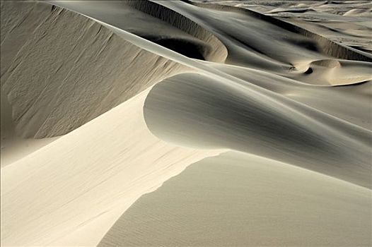 沙丘,戈壁沙漠,国家公园,蒙古