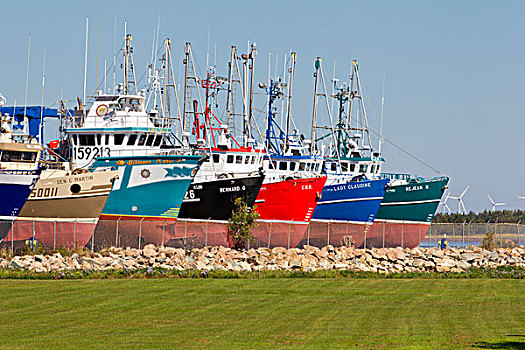 渔船,干船坞,新布兰斯维克,加拿大