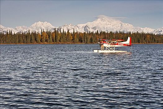 钓鱼,漂浮,水上飞机,湖,山,麦金利山,阿拉斯加山脉,背景,阿拉斯加,夏天