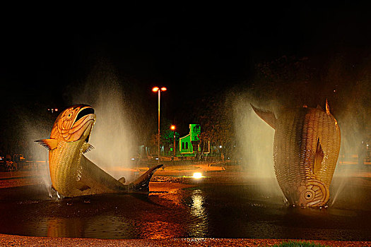 鱼,喷泉,夜晚,鲣,巴西,南美