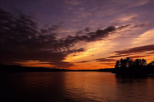 湖,树,日出,安大略省,加拿大