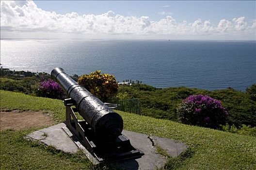 大炮,远眺,海洋,堡垒,国王,多巴哥岛,特立尼达和多巴哥