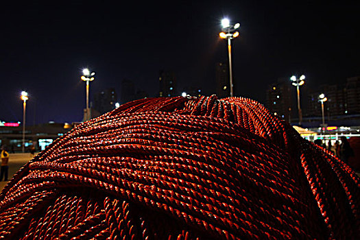 2010年上海世博会-绒线线雕塑