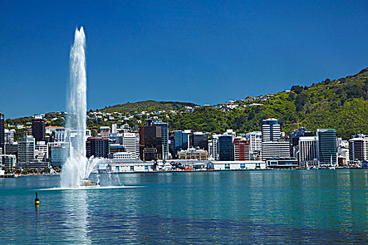 喷泉,东方海湾,惠灵顿,港口,中央商务区,北岛,新西兰