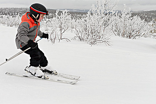 男孩,滑雪