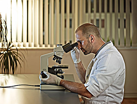 博士,看穿,显微镜,奥地利,欧洲