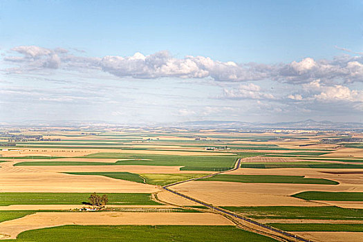农田,塞维利亚,安达卢西亚,西班牙