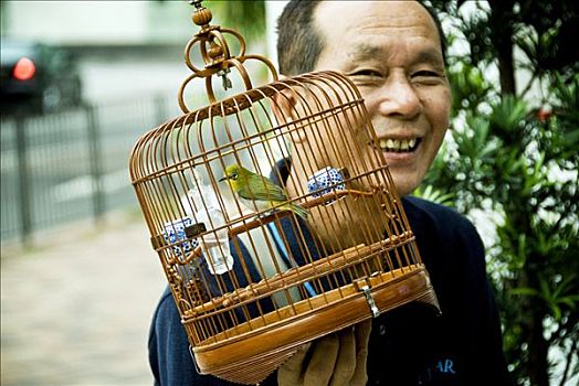 香港,旺角,爱鸟者,鸟,街道,花园