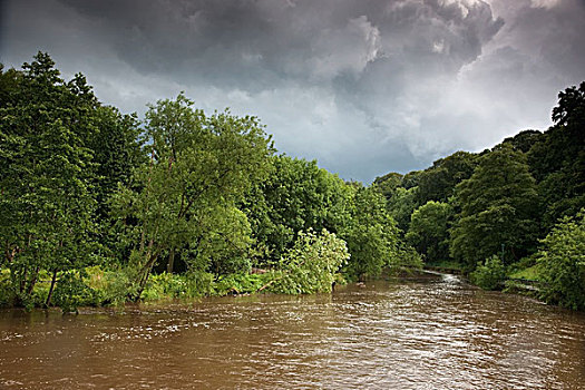 河,树,雷雨天气