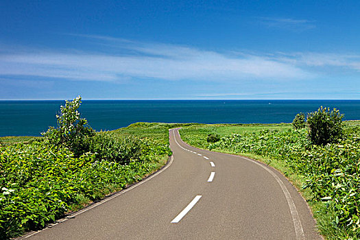 道路,海洋