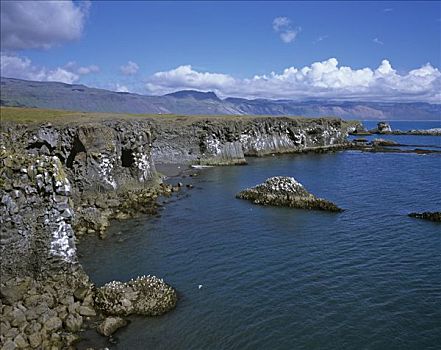 悬崖,火山,玄武岩,柱子,斯奈山半岛,冰岛