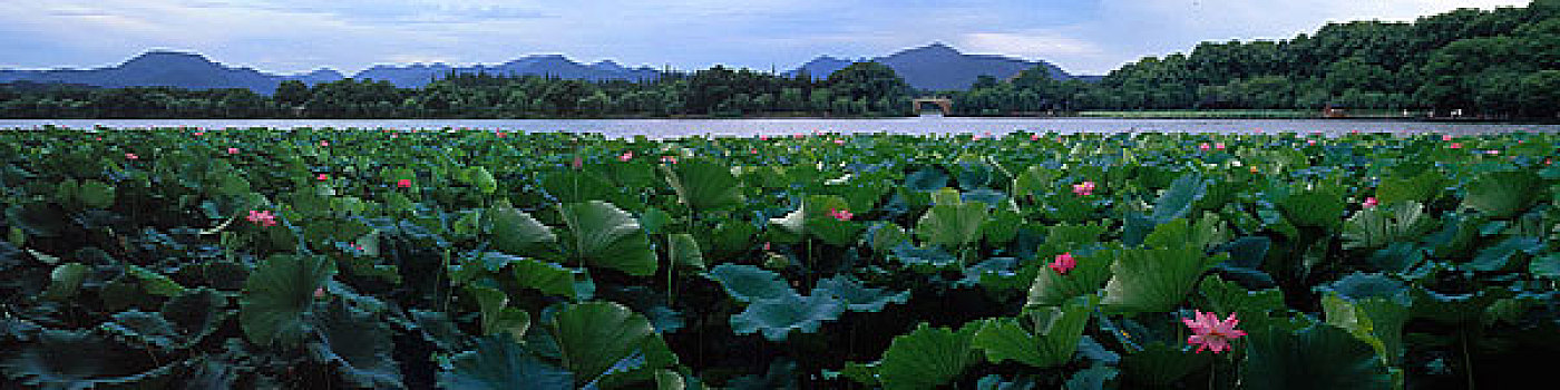 浙江杭州西湖·苏堤