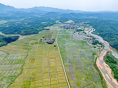 江西金溪,山村田园美