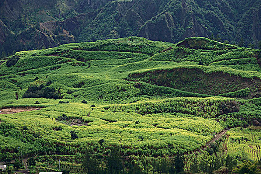 翠绿,山景,留尼汪岛,非洲