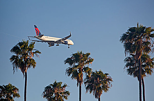 三角洲,航线,喷气客机,靠近,降落,国际,机场,洛杉矶,加利福尼亚,美国