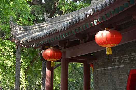 小雁塔,荐福寺,西安博物院