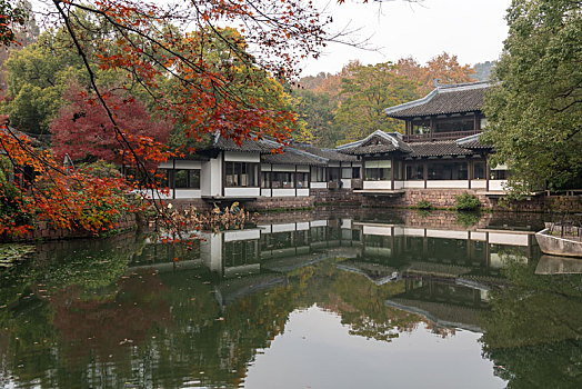 杭州曲院风荷秋景