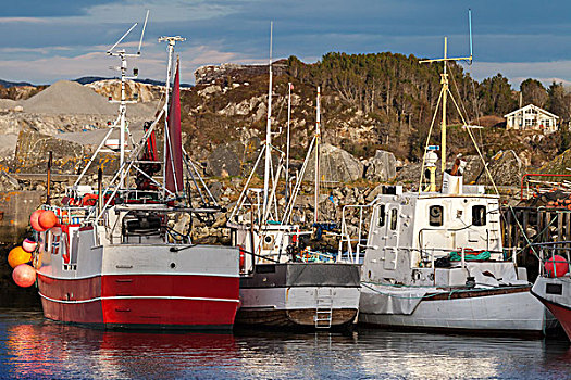 红色,白色,小,渔船,停泊,挪威,乡村