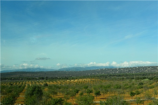 风景,马略卡岛