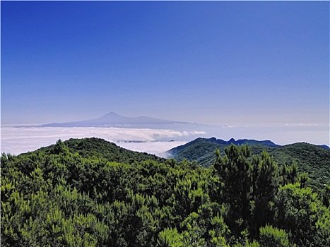 风景,攀升,加拉霍艾