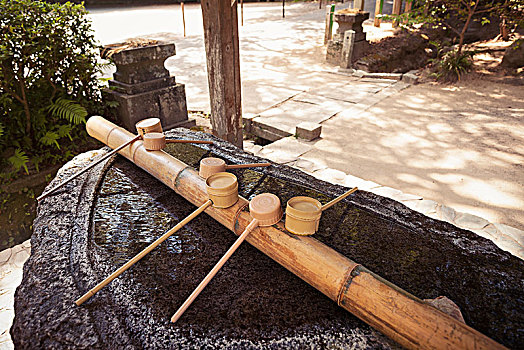 特写,竹子,水,洗,日本神道,神祠,福冈,日本