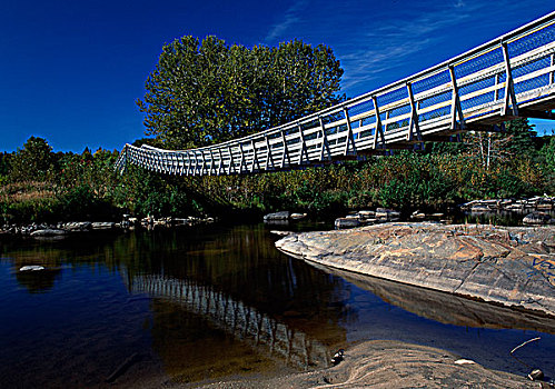 桥,河,魁北克,加拿大