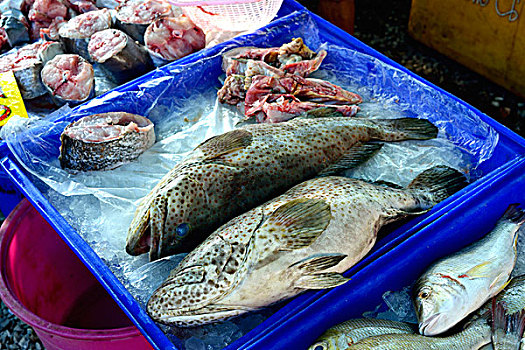 新鲜,石斑鱼,市场,泰国