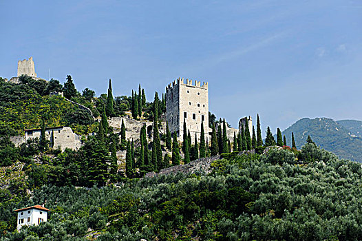 城堡,遗址,省,特兰迪诺,意大利北部,欧洲