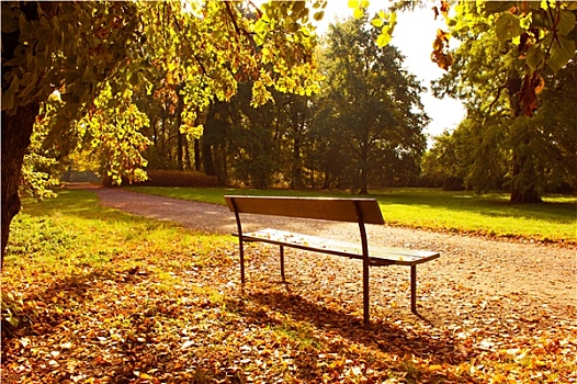 木制长椅,城市公园,早晨