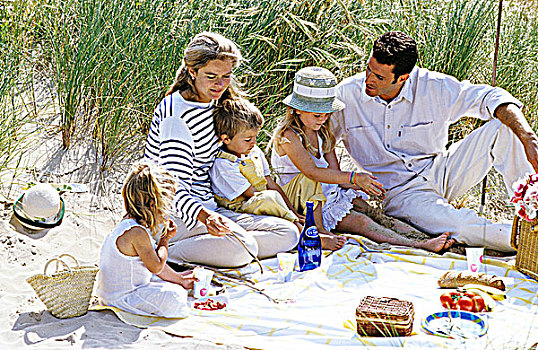 家庭,野餐,海滩