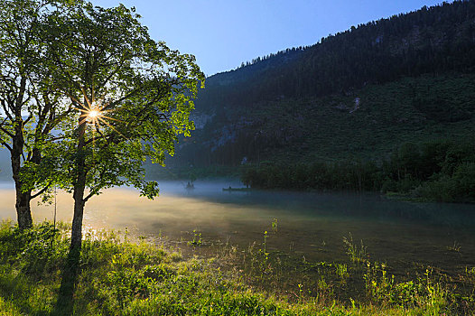 湖,靠近,早晨,雾气,阳光,萨尔茨卡莫古特,奥地利,欧洲