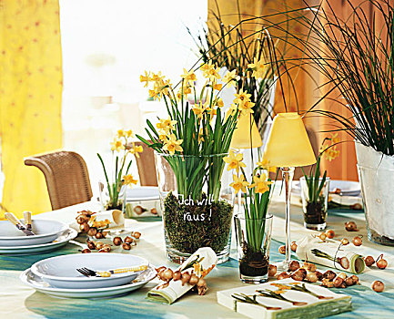 桌子,装饰,水仙花