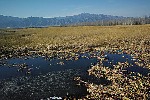 野鸭湖