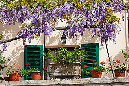 窗户,花盆,翁布里亚,意大利