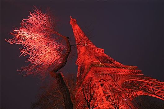 图像,巴黎,埃菲尔铁塔,胭脂,2004年,计划