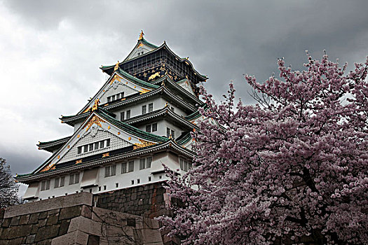 白色,城堡,要塞,京都