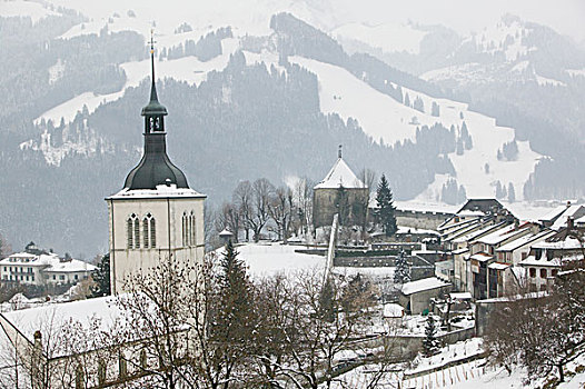 瑞士,弗里堡,城镇,教堂,城堡,冬天