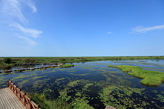 千鸟湖,湿地
