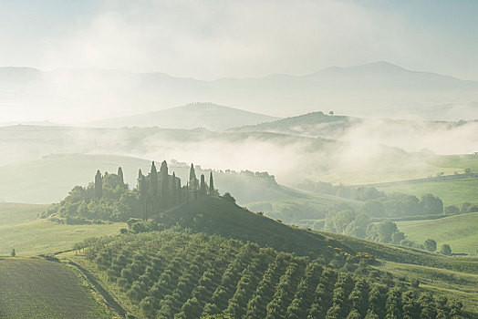 观景楼,一个,农场,早晨,气氛,早,雾,圣奎里克,托斯卡纳,意大利,欧洲