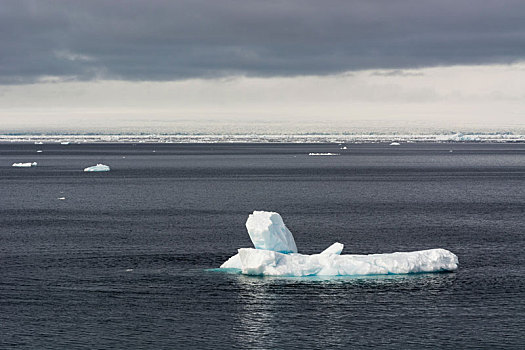 北冰洋,浮冰,海景,海峡,分隔,陆地,斯瓦尔巴特群岛,挪威