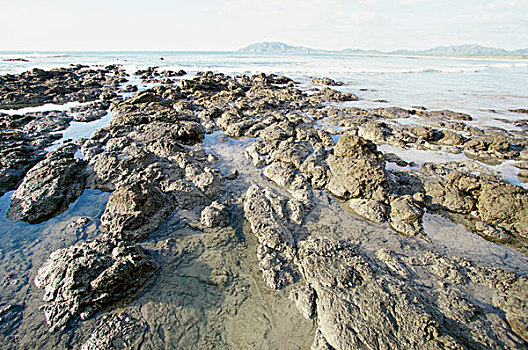 石头,海滩,哥斯达黎加