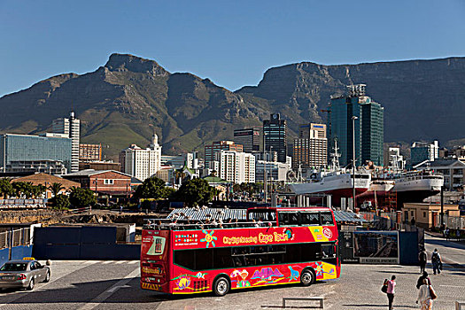 红色公交车,城市,观光,开普敦,天际线,西海角,南非,非洲
