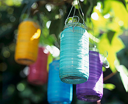 灯笼,多样,彩色,悬挂,树上